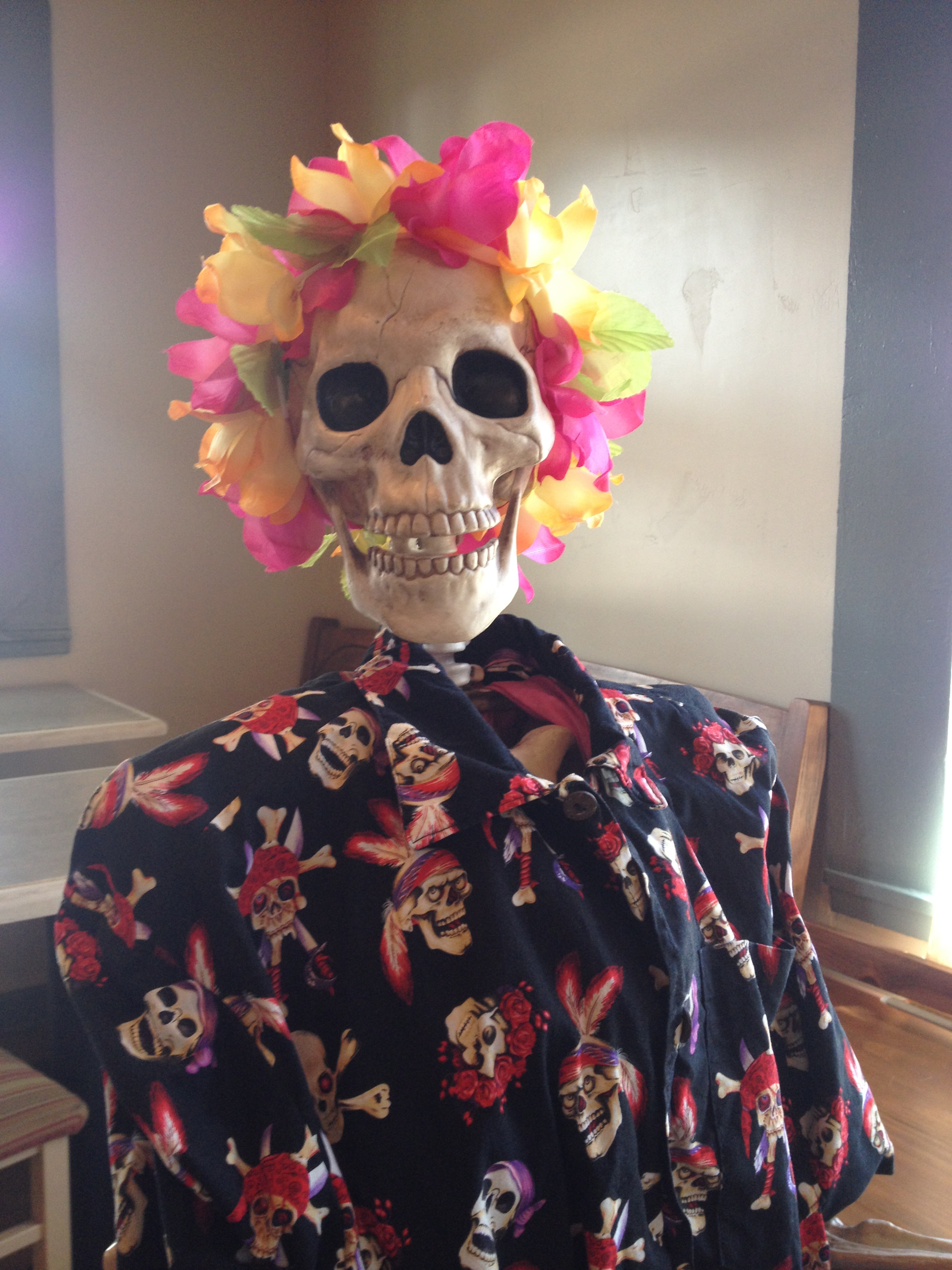 Online Medical Assisting Programs Accredited Schools Online