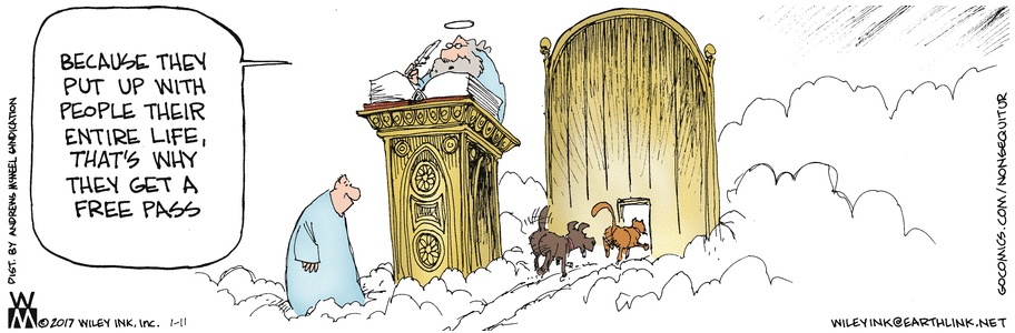 Death Cartoon: Why All Dogs and Cats Go To Heaven | A Good Goodbye