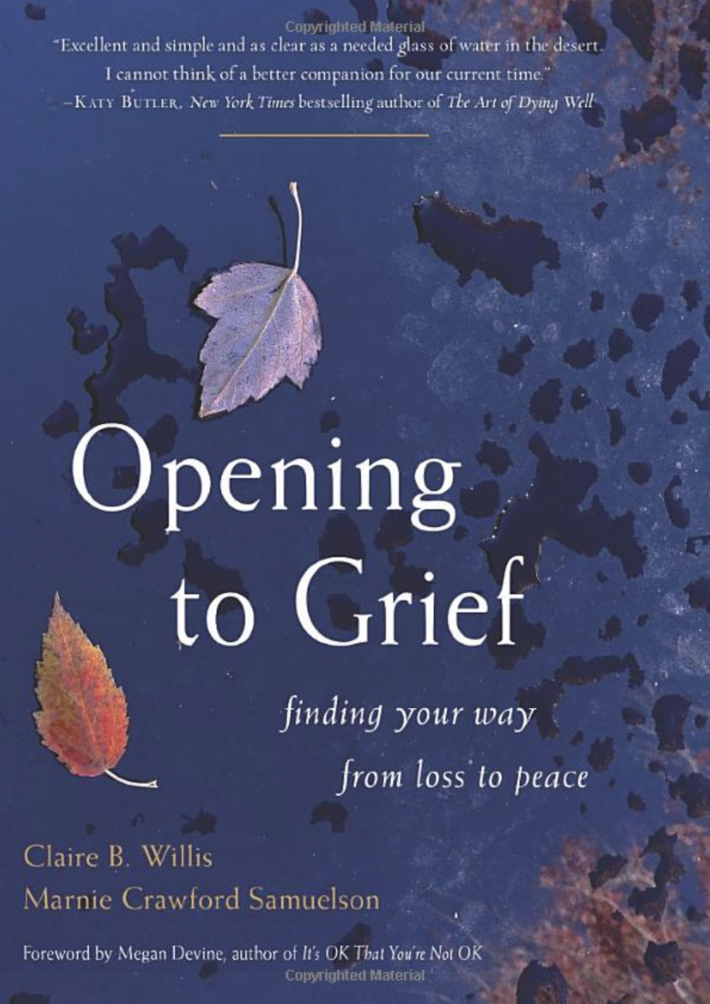 Books to Die For Video: Opening to Grief | A Good Goodbye