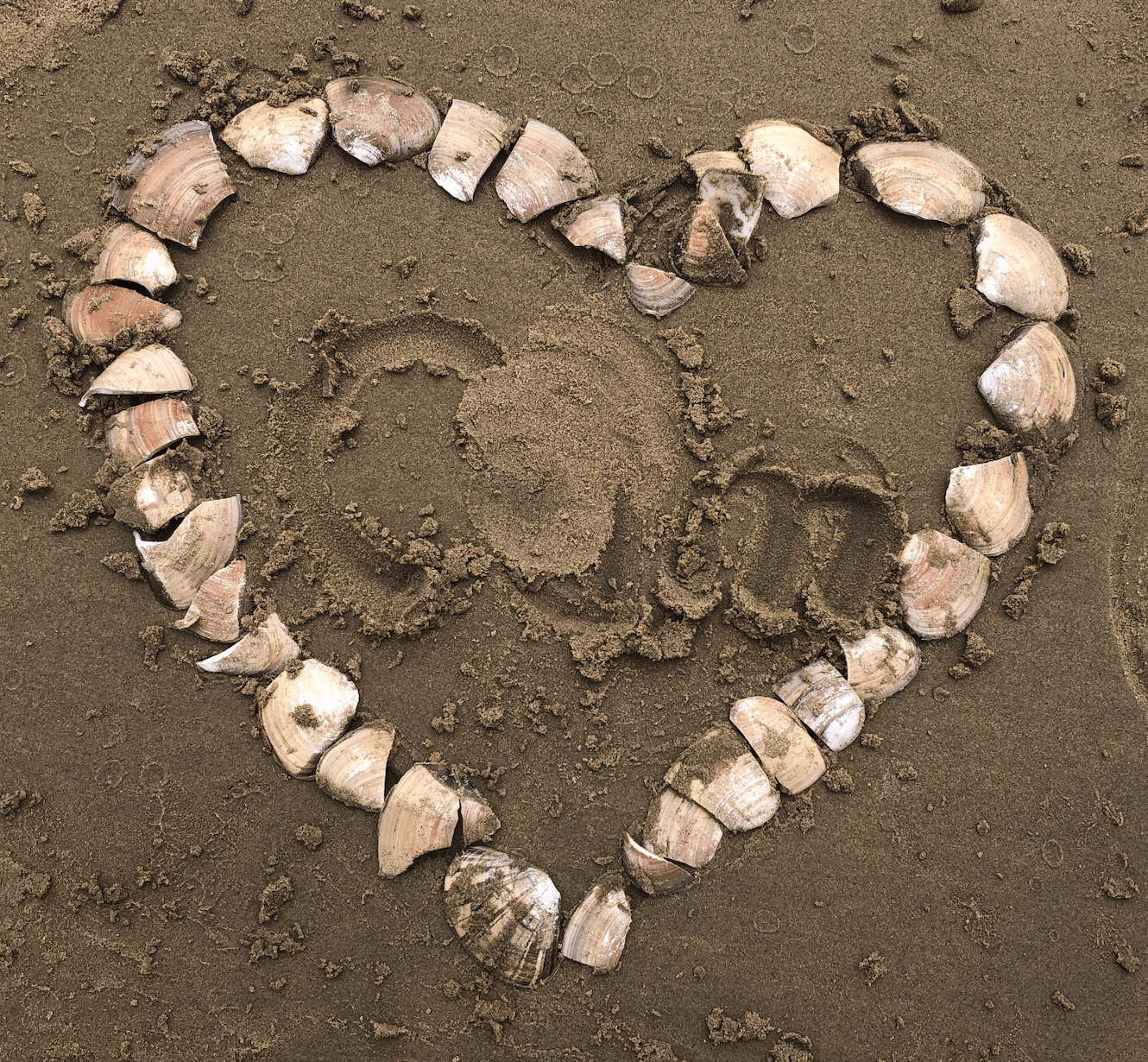 Bye Shell Helpful Tips to Improve Hospice Grief Follow-Up Calls | A Good Goodbye